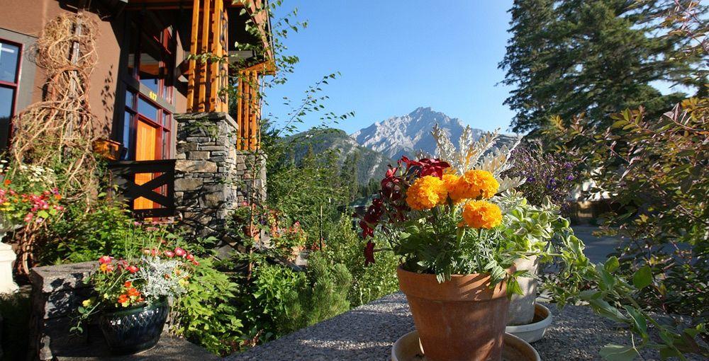 Buffaloberry Bed & Breakfast Panzió Banff Kültér fotó